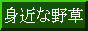 身近な野草