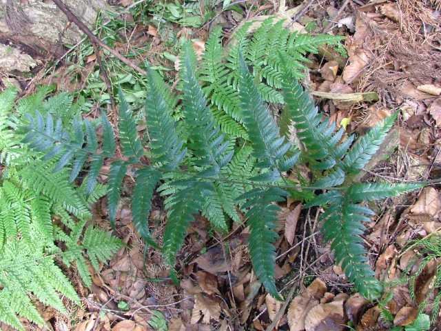 �I�j�J�i�����r