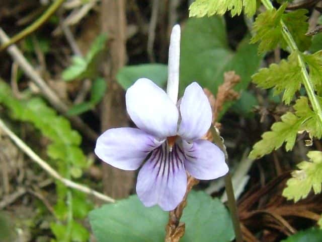 �i�K�n�V�X�~��