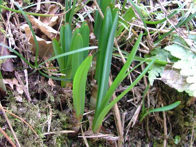 �L�c�l�m�J�~�\��