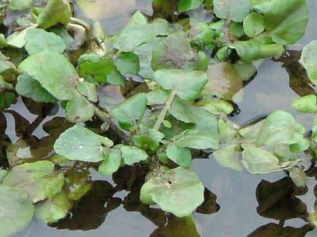 �I�����_�K���V