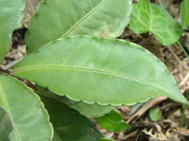 �}�������E