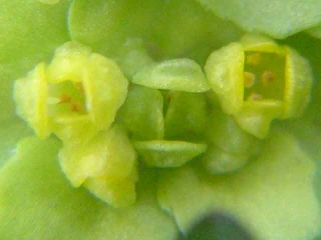 �l�R�m���\�E