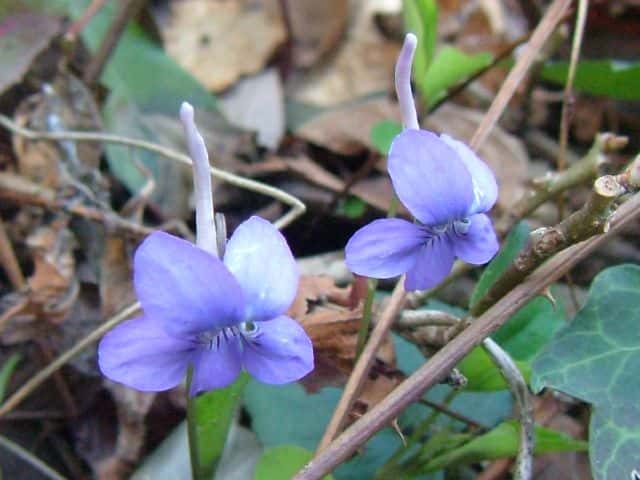 �i�K�n�V�X�~��