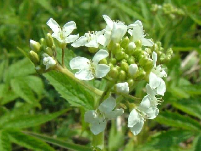 �R�������\�E