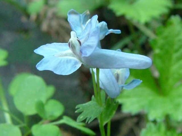 ���}�G���S�T�N