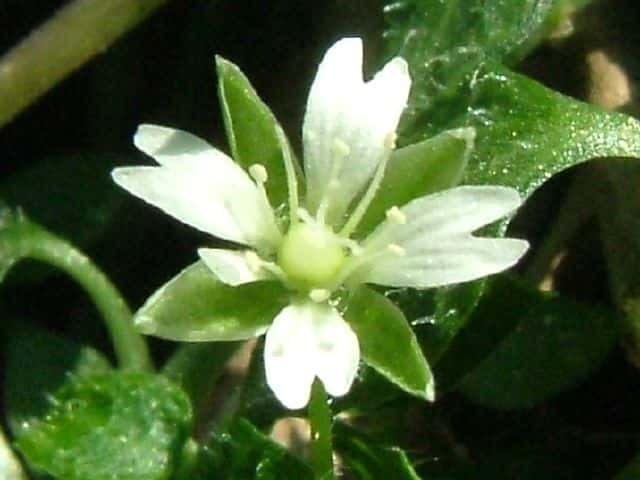 �T���n�R�x