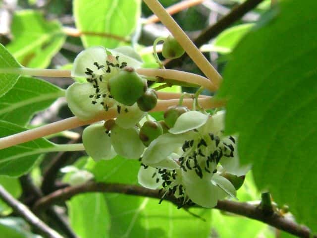 �E���W���}�^�^�r