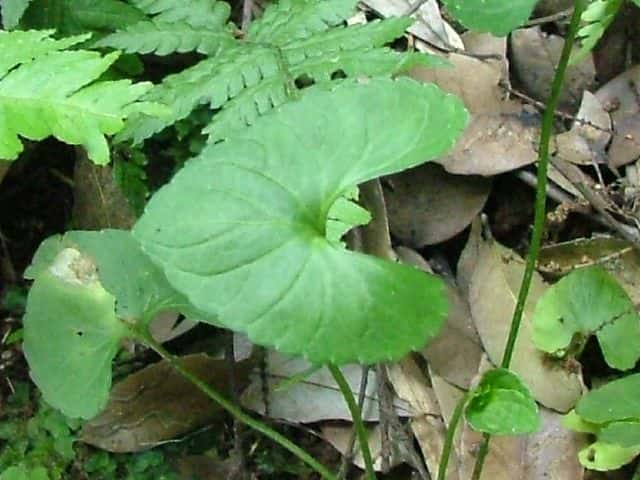 �c�{�X�~��