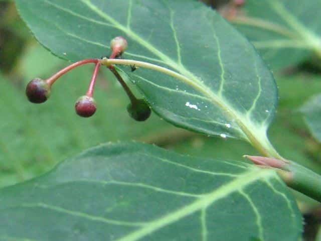 �����T�L�}���~