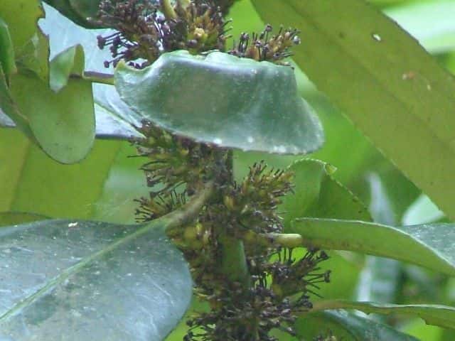 �^�����E