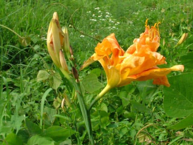 ���u�J���]�E