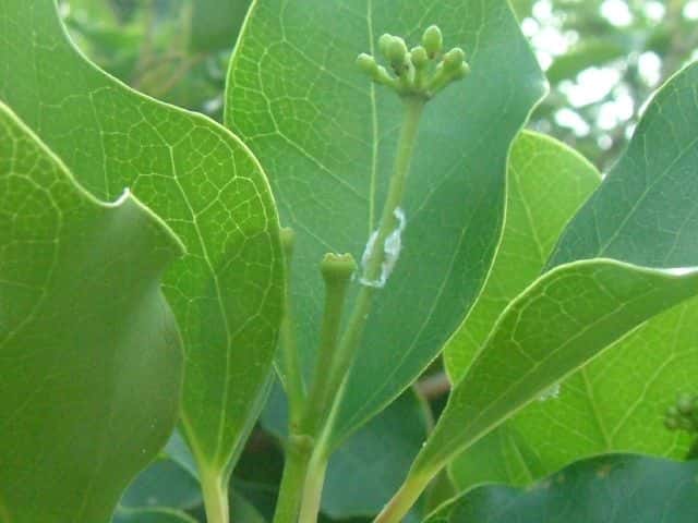 �J�N���~�m