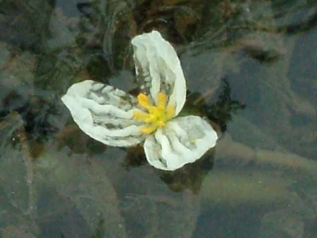 �I�I�J�i�_��