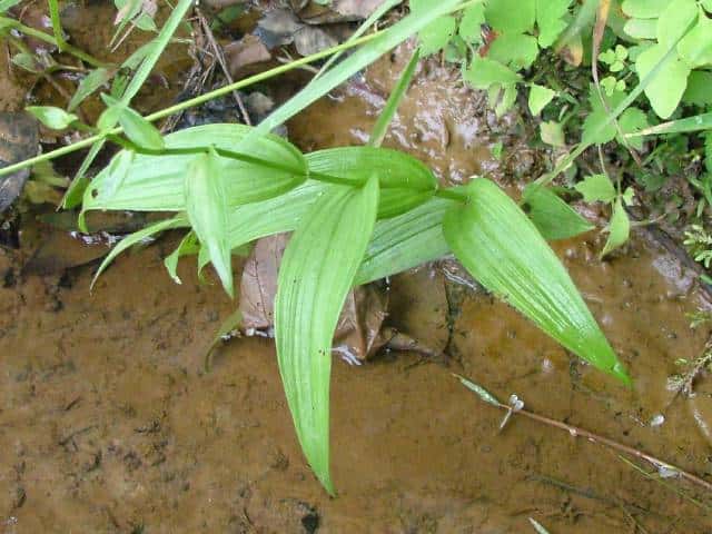 �J�L����