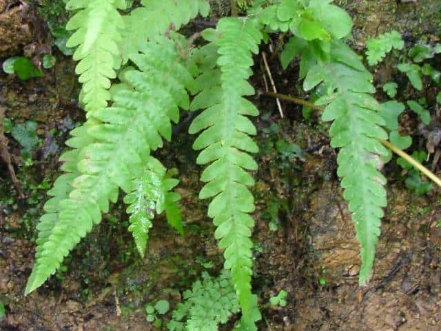 �Q�W�Q�W�V�_