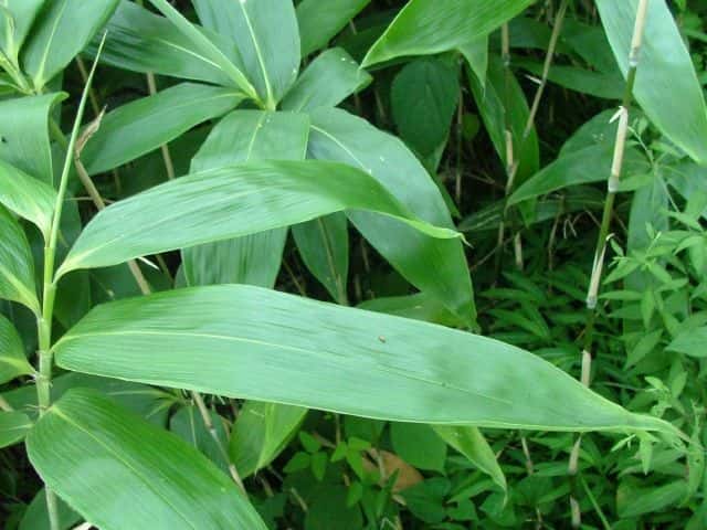 �`�}�L�U�T