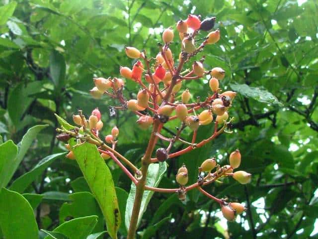 �T���S�W��