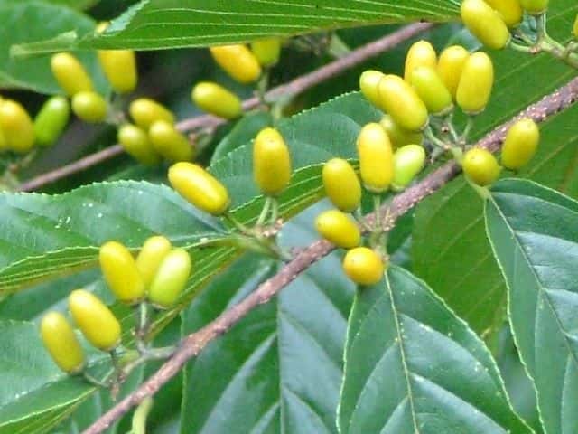 �l�R�m�`�`