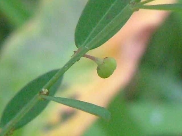 �q���~�J���\�E