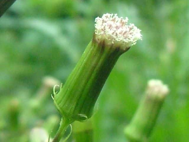 �_���h�{���M�N