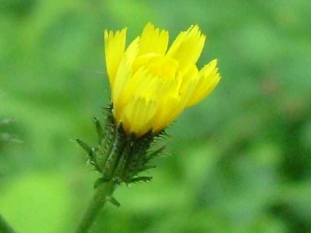 �R�E�]���i