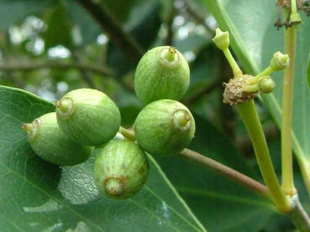 �J�N���~�m