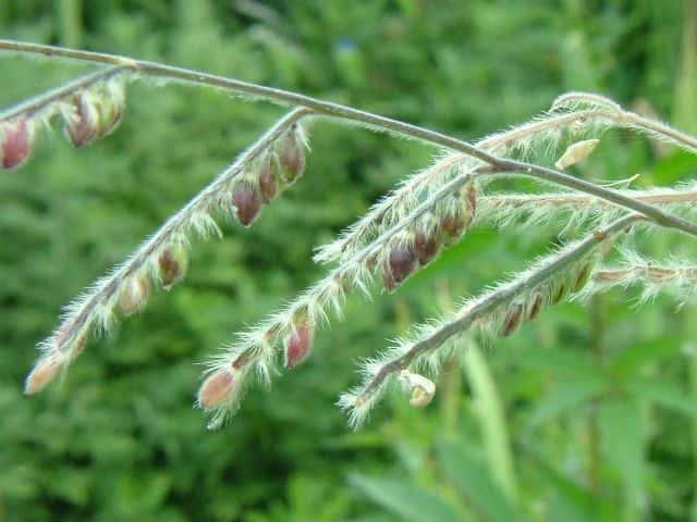 �i���R�r�G