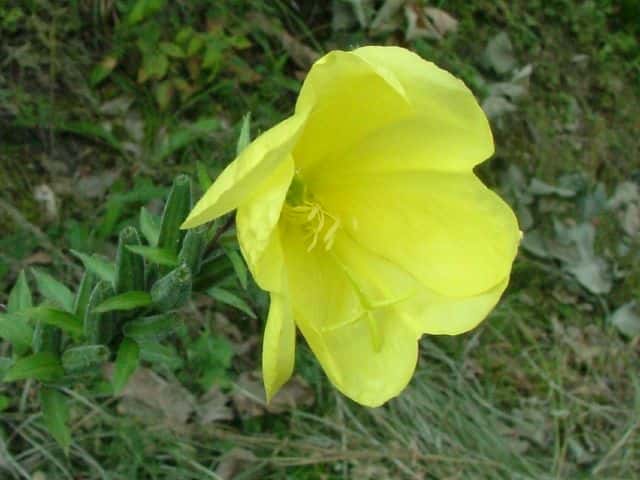 �I�I�}�c���C�O�T