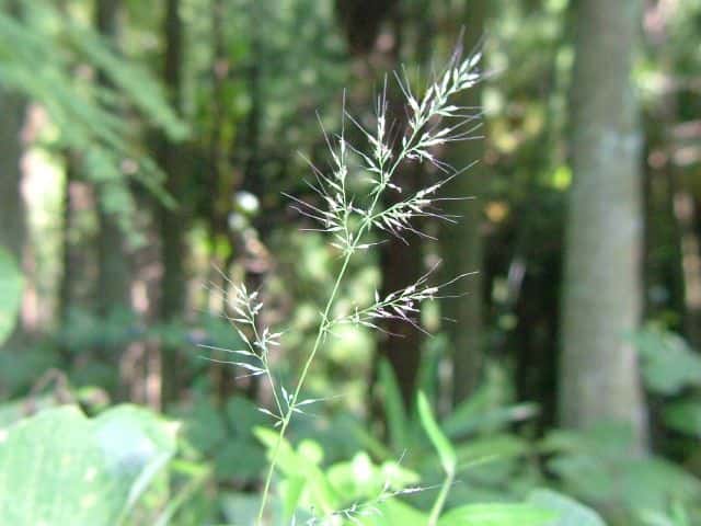 �l�Y�~�K��