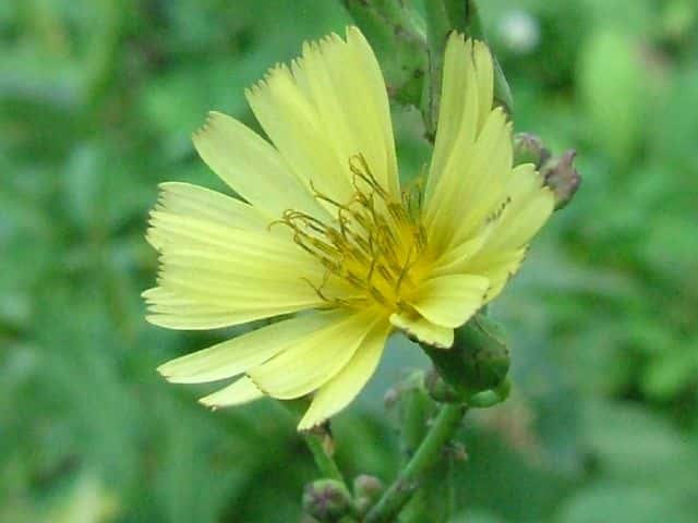 �A�L�m�m�Q�V