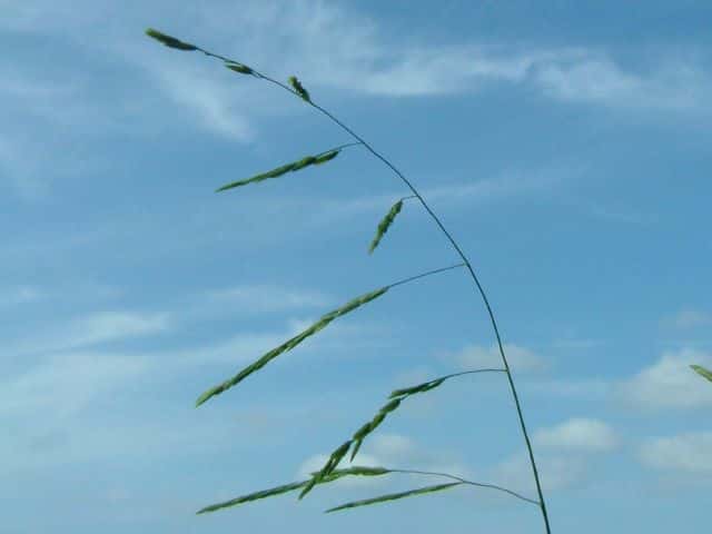 �T���k�J�O�T