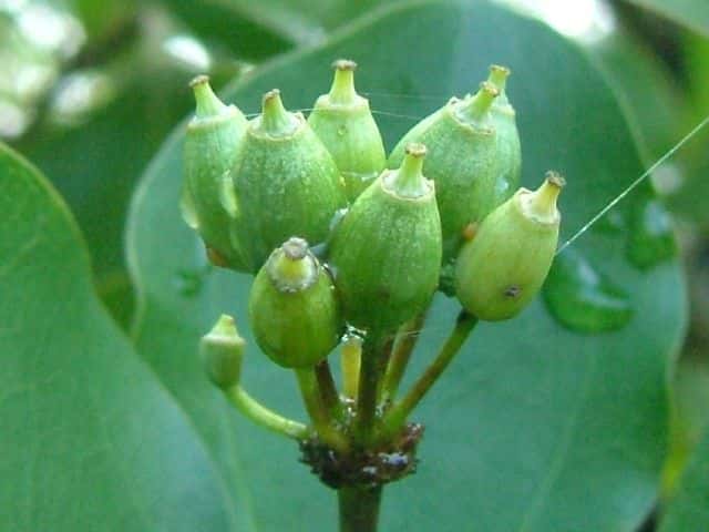 �J�N���~�m