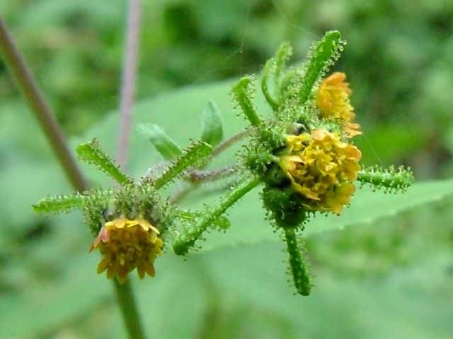 �R���i���~