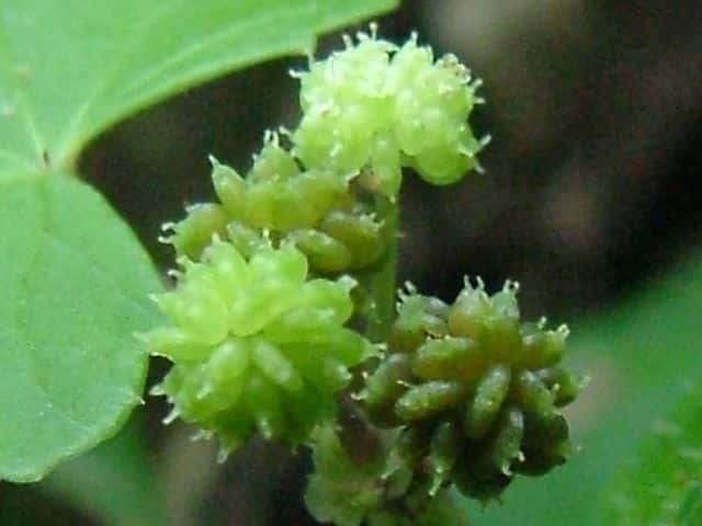 �I�I�o�`�h��