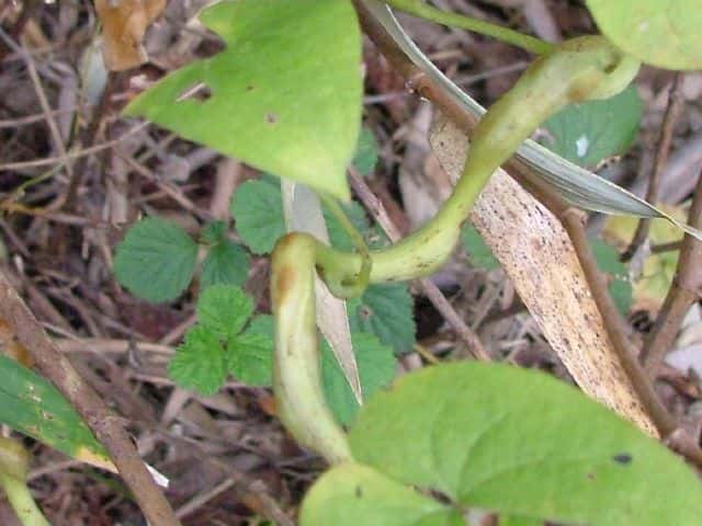 �I�j�h�R��