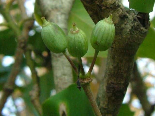 �J�N���~�m