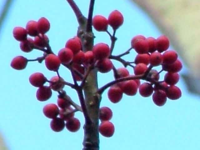 �^�}�~�Y�L