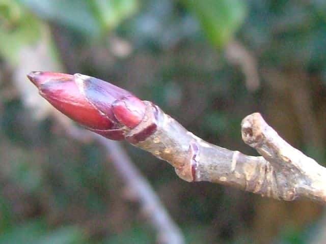 �i�i�J�}�h