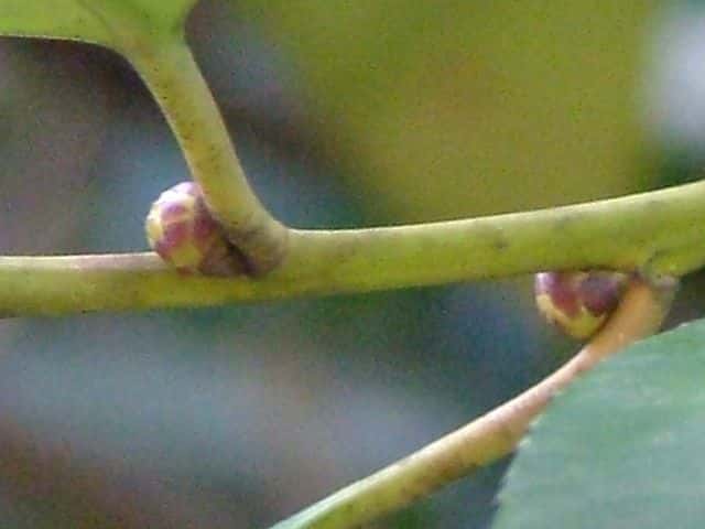 �^�����E