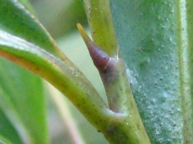 �}�������E