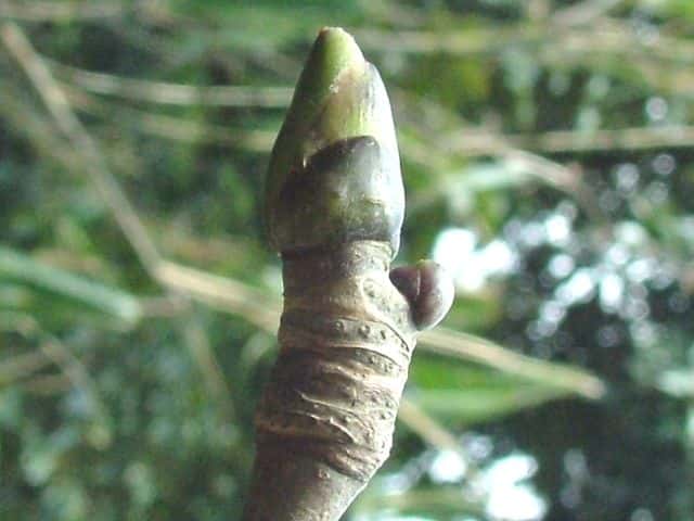 �^�J�m�c��