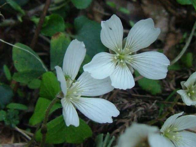 �~���}�J�^�o�~