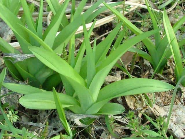 ���u�J���]�E