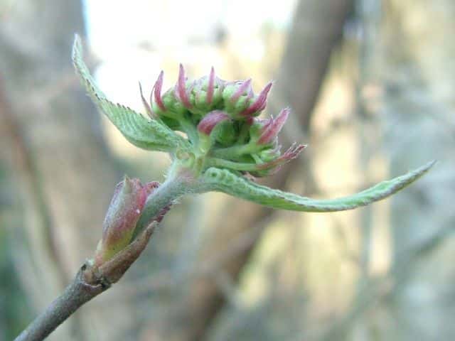 �R�o�m�K�}�Y�~