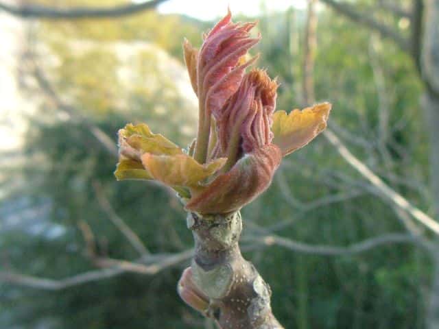 �I�j�O���~