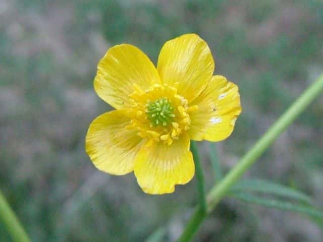 �E�}�m�A�V�K�^