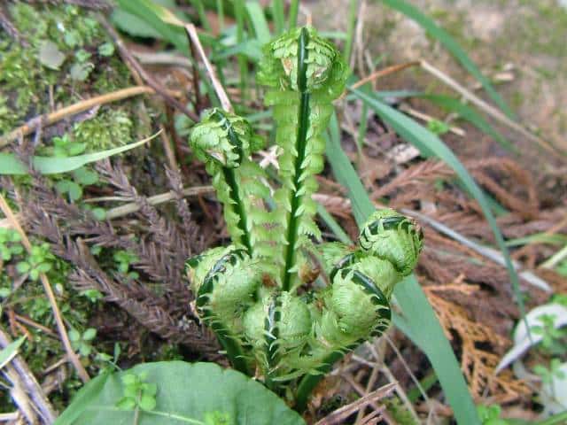 �N�T�\�e�c