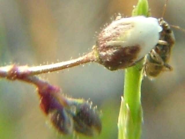 �m�n���c���N�T