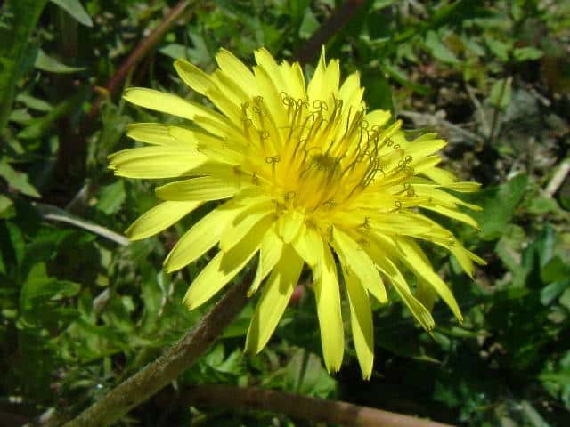 ���}�U�g�^���|�|